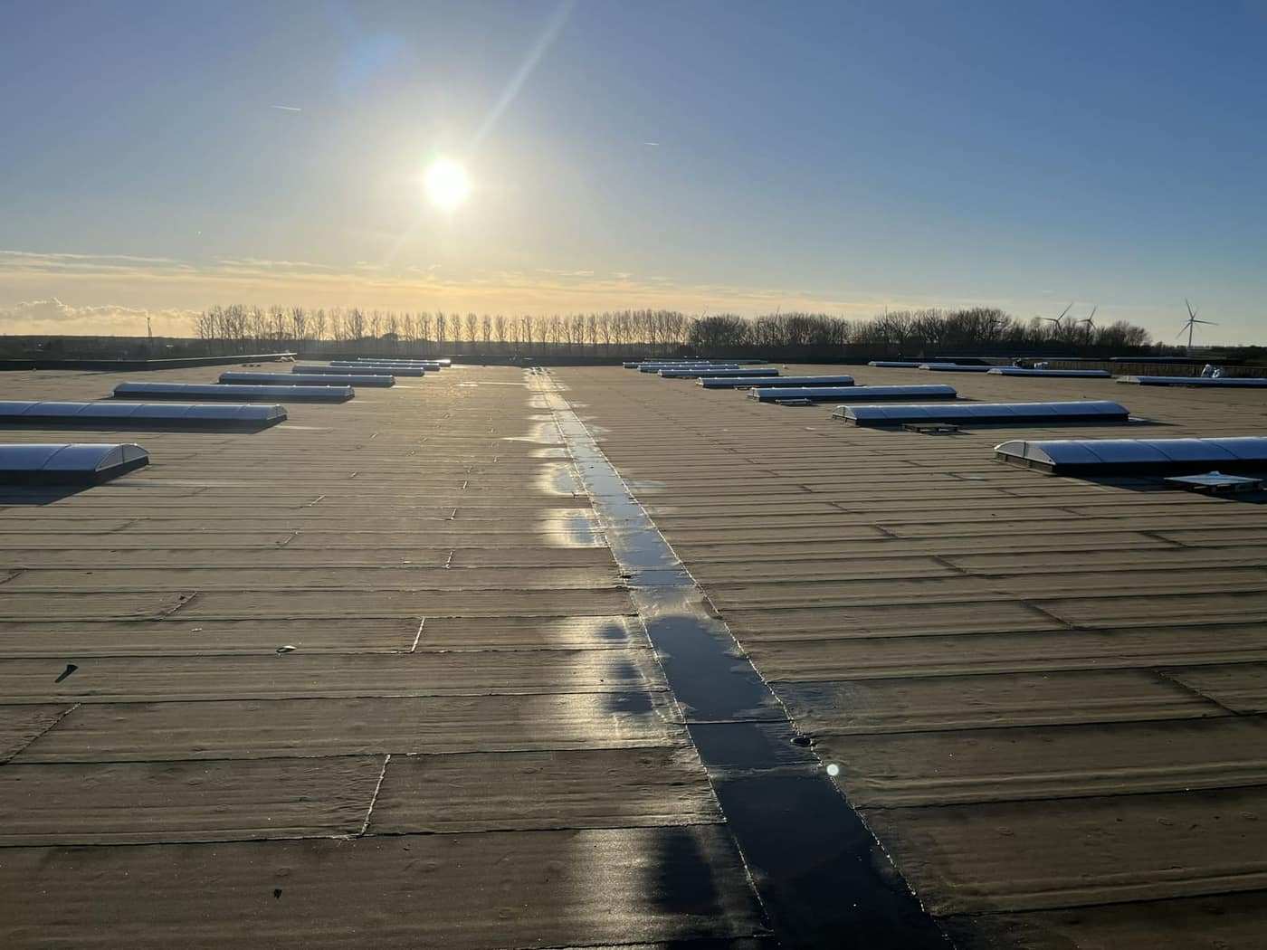 Uitgestrekt plat dak bij zonsopgang, met de nieuwe bitumenbanen strak naast elkaar.